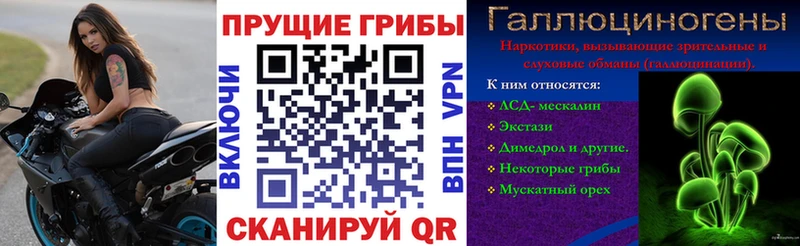 Галлюциногенные грибы ЛСД ссылка на мегу маркетплейс Карачев